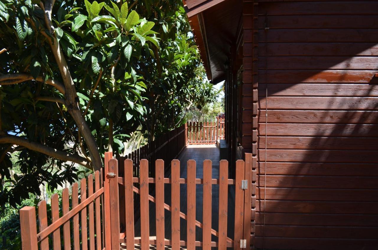 Cabana Los Palmeros, Vista Al Mar Y La Montana Alojera 외부 사진