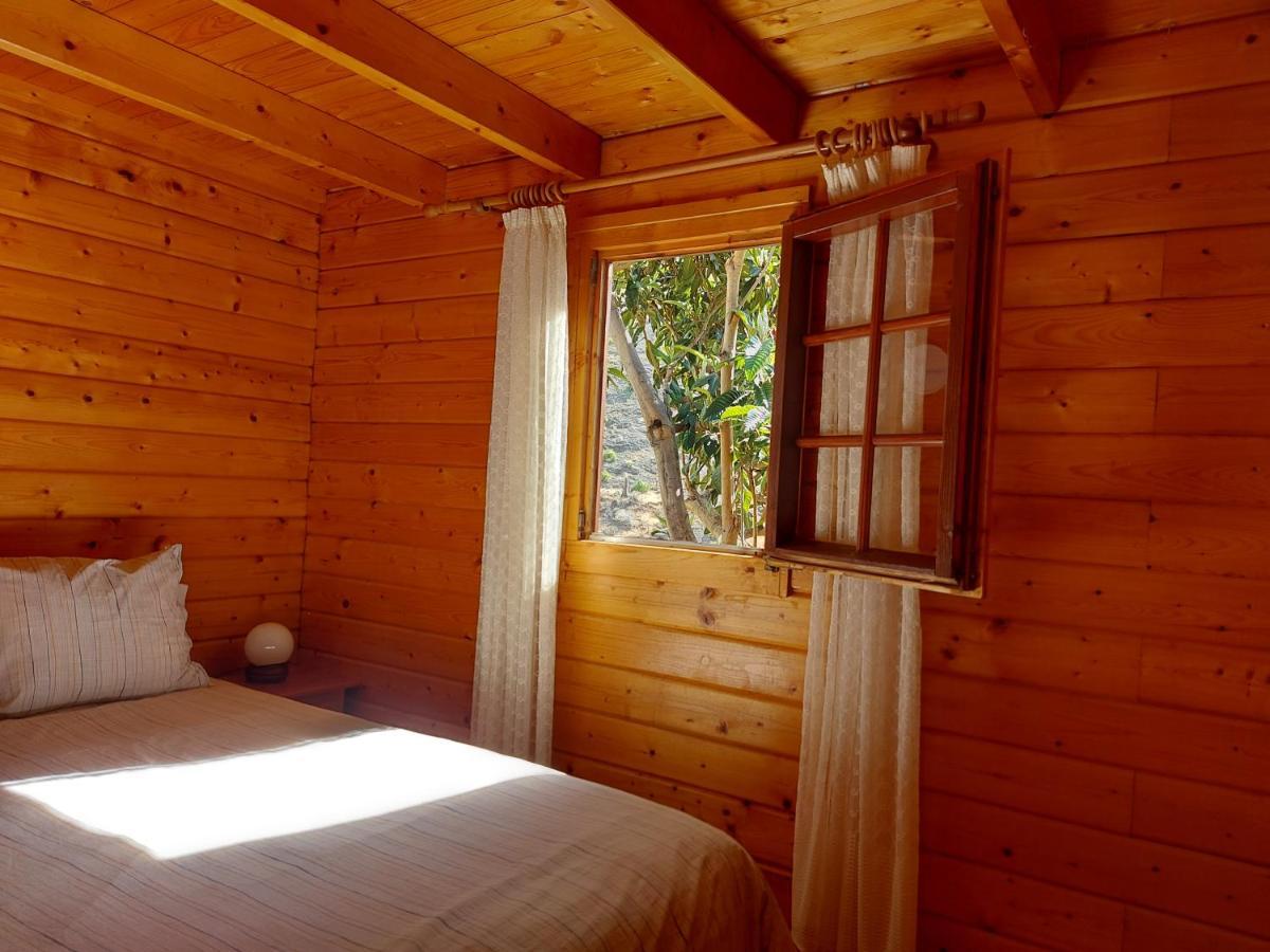 Cabana Los Palmeros, Vista Al Mar Y La Montana Alojera 외부 사진