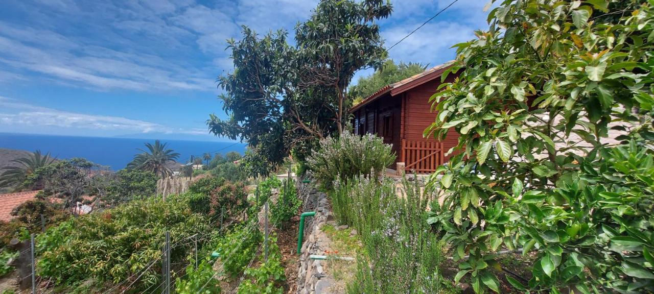 Cabana Los Palmeros, Vista Al Mar Y La Montana Alojera 외부 사진
