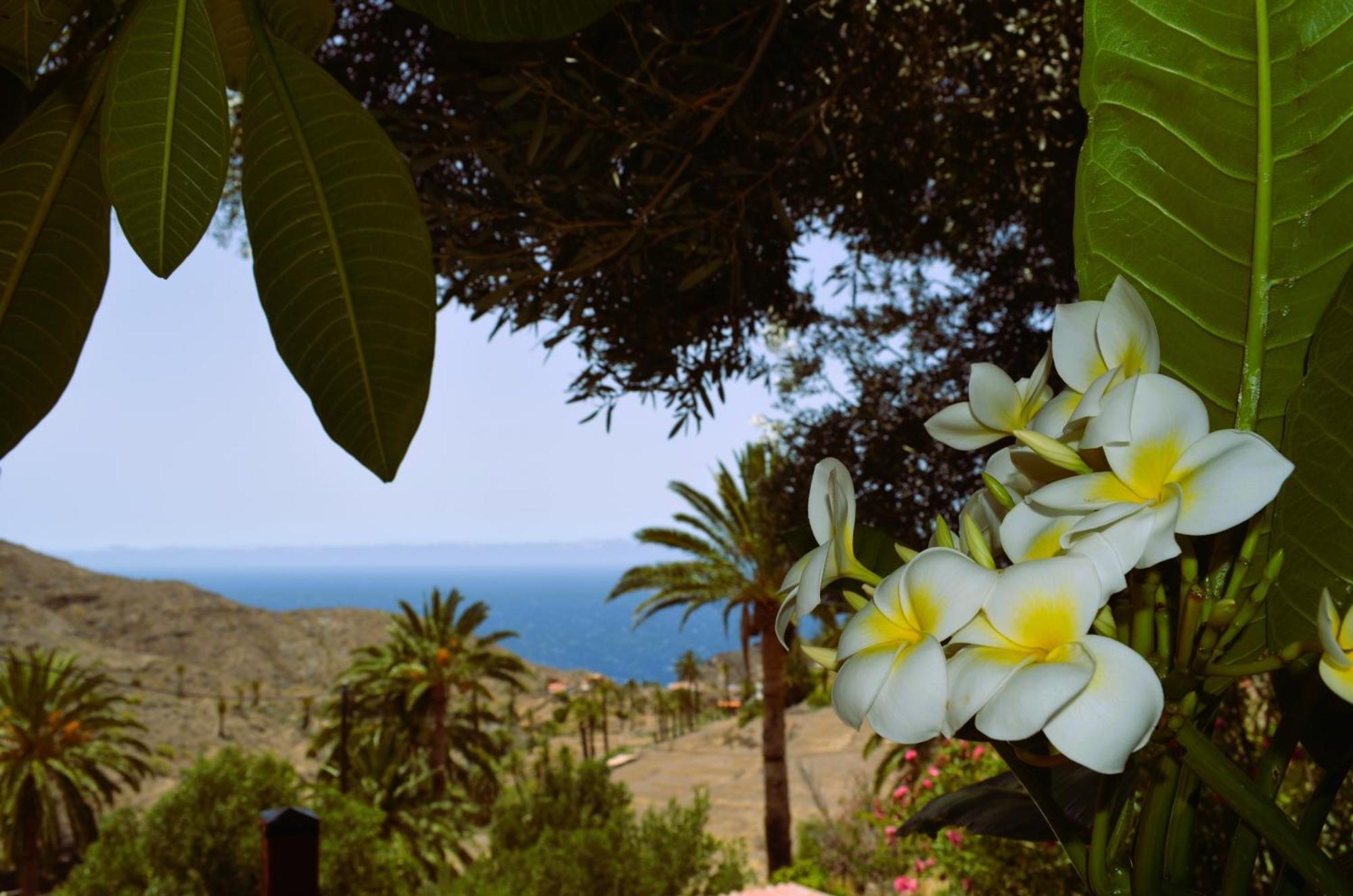Cabana Los Palmeros, Vista Al Mar Y La Montana Alojera 외부 사진